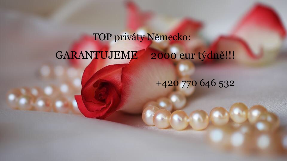 Garantujeme 60000 Kč týdně – priváty Německo!