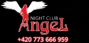 Night Club Brno Angel